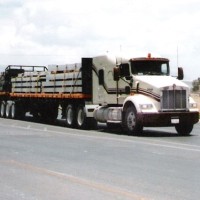 338